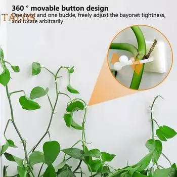 50 шт. фиксатор для ротанга самоклеящийся фиксатор простой в установке практичный настенный держатель для вьющихся растений держатель для фиксации балконные принадлежности зелёный
