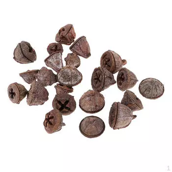 50 шт. Мини-сухоцветы в деревенском стиле с фруктами на Рождество