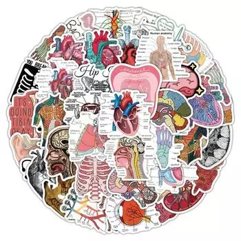 50 шт., наклейка для скрапбукинга с изображением человеческих органов для детей, зубов, сердца, мозга, медицинская канцелярская наклейка, DIY Декор, наклейка для багажа