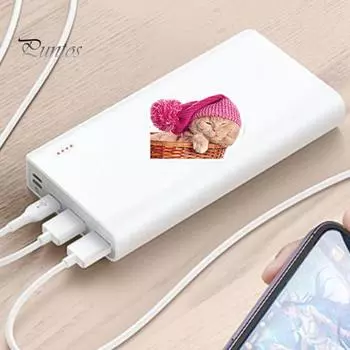 50 шт. наклейки с изображением кота, водонепроницаемые самоклеящиеся наклейки с животными для бутылок с водой, украшение для ноутбука, скрапбука 50pcs