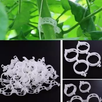 50 шт. пластиковые лозы, растения, овощи, клипса, держатель для садовой теплицы, инструмент белый