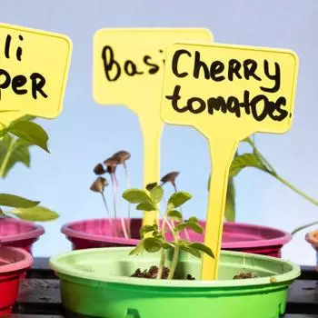 50 шт. пластиковых карточек для записей T-образных знаков для питомника, полезных маркеров для растений белый