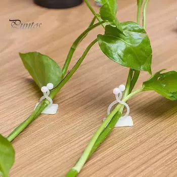 50 шт. полезных прочных несущих однотонных настенных крючков для виноградной лозы, зеленое растение Scindapsus, настенное крепление, зажимы для посадки, аксессуары белый