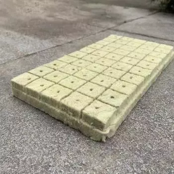 50 шт., растущий куб, гидропоника, прорастание, хорошая воздухопроницаемость, волокно, куб для размножения растений для дома 25mm