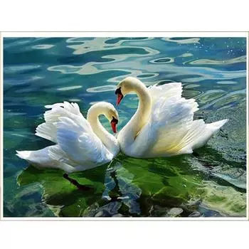 50CMx40CM Популярная DIY 5D Алмазная картина Полная картина Вышивка Ремесло 25x20CM