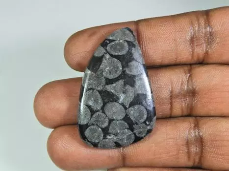 50Cts. Натуральный черный ископаемый коралловый кабошон россыпью драгоценный камень 29X39X05 мм ET-295