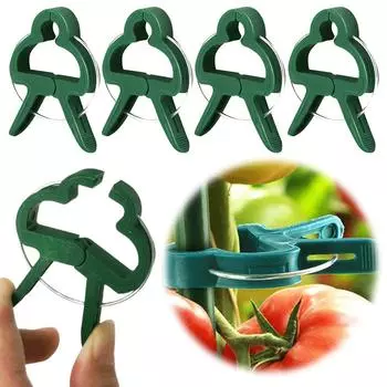 50 шт. фиксированных зажимов для растений, многоразовый кронштейн для теплицы, для фиксации стеблей цветов, виноградных лоз, овощей, томатов, садовые принадлежности S-5PCS