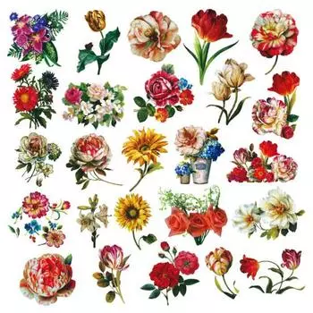 50pcs Прекрасные различные DIY украшения Симпатичные наклейки Смартфон Ноутбук Гитара Скейтборд Граффити Наклейки Вечеринка Фаворит