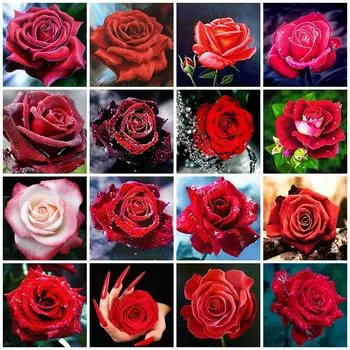50X50CM 5d алмазная живопись Роза настенный художественный декор DIY Алмазная вышивка крестиком цветок ремесленные подарочные наборы ручной работы Full Round 50x50CM красный