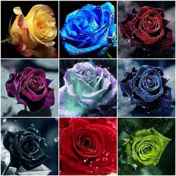 50X50CM 5D DIY Алмазная картина Цветок Роза Мозаика Алмаз Полный квадратный круглый горный хрусталь Картина Украшение дома Full Round 50x50CM красный