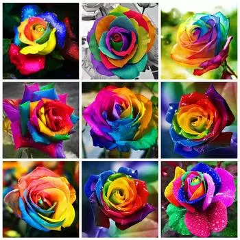 50X50CM 5D Diy Алмазная вышивка Распродажа Розы Фотографии Стразы Наборы для алмазной живописи Цветочная мозаика Подарок ручной работы Full Round 50x50CM красный