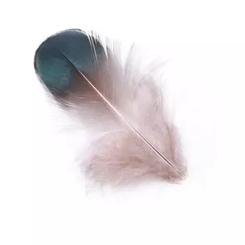 50X Feather Head Ornament Wedding Decor Party Decal Multipurpose Long-lasting Decorative Festival Home Decoration