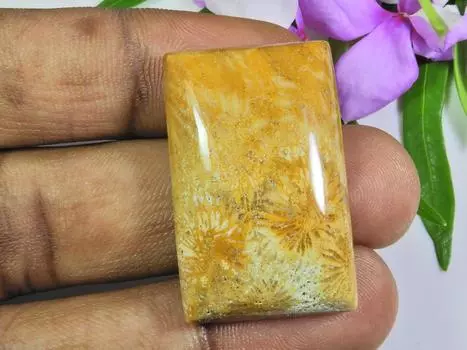 54Cts. Натуральный ископаемый коралл прямоугольный кабошон россыпью драгоценный камень 21X34X07 мм SK-650