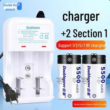 5500 мАч D-типа 1.2 В аккумулятор двойной емкости для водонагревателей/газовых плит D02 model, D type, 2 pieces