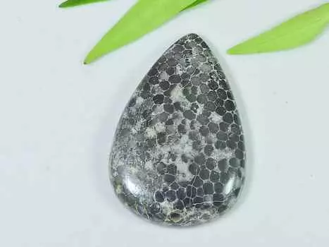 57Cts. Натуральный ископаемый коралловый кабошон в форме груши, россыпью, драгоценный камень 29X43X05 мм RQ-2267