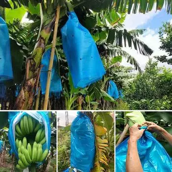 5/10/15 шт. Защитный мешок для бананов, защитные пакеты для фруктов с отверстием от холода и насекомых, защитный чехол для грозди бананов 5 Pcs