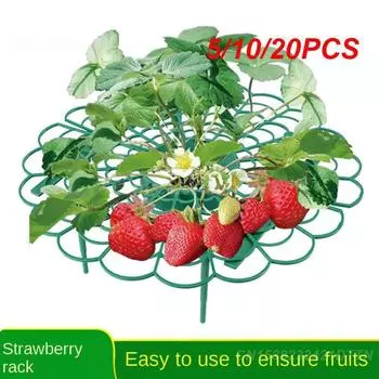 5/10/20 шт. Овощные и фруктовые вьющиеся колонны предотвращают гниение фруктов, их нелегко сломать, легко хранить