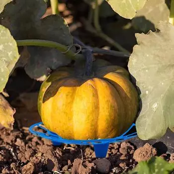 5/10 шт. арбузная подставка антикоррозионная арбузная решетка подставка поддон для овощей арбузы тыквы дыни кабачки 5Pcs синий