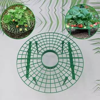 5/10 шт., садовая подставка для клубники, домашний балкон, подставка для выращивания овощей, подставка для восхождения, виноградная лоза, подставка для клубники 5PCS