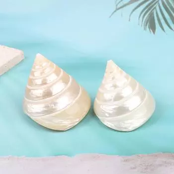 5-6 см натуральные раковины-ракушки светящиеся башни-улитки жемчужные башни-улитки аквариумные земли