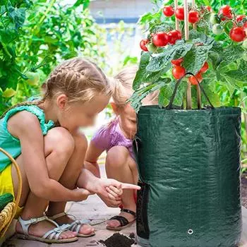 5 Gallon Fabric Garden Grow Bags, Green Aeration Potato Planter With Access Flap Sturdy Handles, Heavy-Duty Vegetable Grow Pots