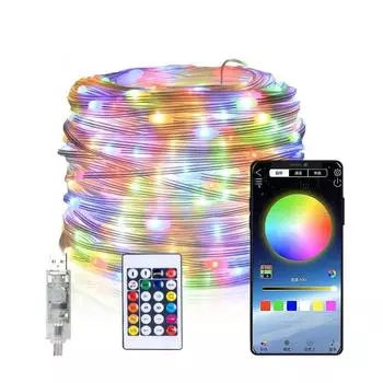 5 м 10 м 20 м Волшебные светодиодные огни USB Dream Color Smart String Light Remote APP Controller для комнаты, свадьбы, украшения рождественской елки 5m 50leds