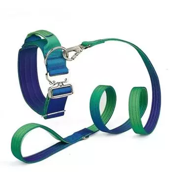 5 мм поводок для собак, набор, плавная смена, двойной нейлоновый ошейник, средние и большие собаки, товары для питомцев, тренировочный поводок, аксессуары для больших собак M-5mm43-58cm
