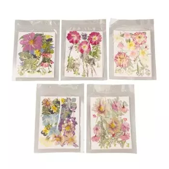5 пакетов с прессованными цветами разных стилей, яркие, богатые детали, многоцелевые, красочные, сухоцветы
