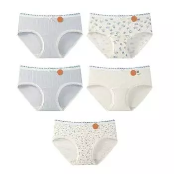 5 Pcs Women s Cotton Briefs Mid Rise Full Coverage Ladies Panties Floral Print Soft Stretch Underwear M 5pcs