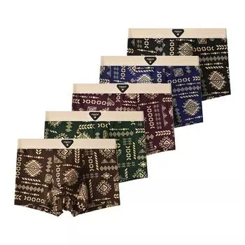5 Pieces Men s Ice Silk Underwear Comfortable Boxer Briefs Teenager Retro Underpants Breathable Printing Boxers L
