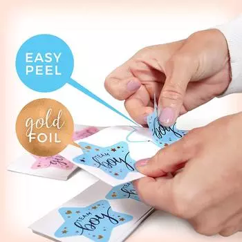 5 Sheets (60Pcs) Team Boy Team Girl Sealing Sticker Gift Box Label for Gender Reveal Baby Shower Party Favors Decoration other