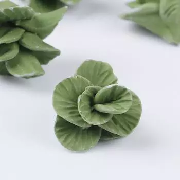 5 шт. 1:12 Мини Кукольный Дом Мини Милые Ручной Работы Глиняные Овощи Кукольный Дом Капуста