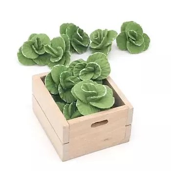 5 шт. 1:12 Мини Кукольный Дом Мини Милые Ручной Работы Глиняные Овощи Кукольный Дом Капуста