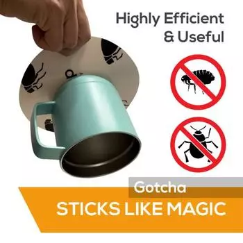 5 шт., энергосберегающая прочная клейкая липкая бумага от блох, эффективная долговечная домашняя круглая кружевная бейка, липкая ловушка, бытовые принадлежности C