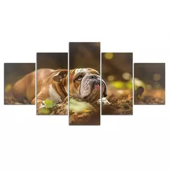 5 шт., английский бульдог, собака, современный декор, картины, плакат, без рамки, 5 панелей, декор для комнаты, холст, настенное искусство, 5 шт., абстракция 20x35 20x45 20x55cm