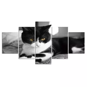5 шт. черно-белый кот котенок современный холст картина настенное искусство 5 шт. картины картины плакат без рамки декор комнаты HD печать 20x35 20x45 20x55cm