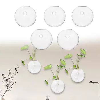 5 шт. Цветочный террариум гидропонная ваза небольшой декор крючки настенные кашпо для кофе 8cm