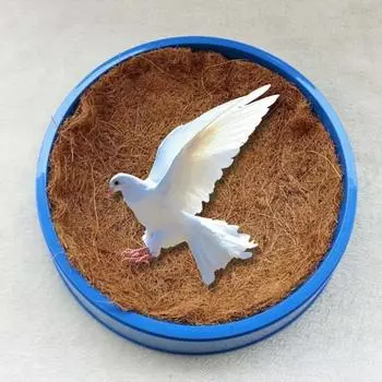 5 шт./компл. коврик для голубя, дышащий, влагостойкий, противоскользящий коврик для разведения яиц, коврик для гнезда для
