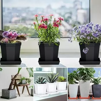 5 шт. квадратные лотки для цветочных горшков, пластиковые лотки для сбора лишней воды, разливов почвы для подноса для цветочных горшков в помещении 10 inches чёрный