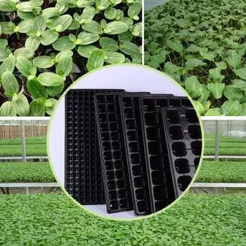 5 шт. лоток для суккулентов, дышащий долговечный портативный лоток для прорастания растений для суккулентов 4