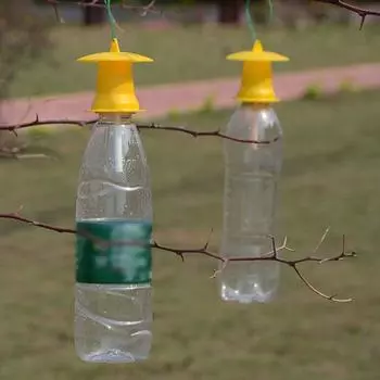 5 шт. ловушка для фруктовых мух, ловушка для дрозофилы, ловушка для мух, борьба с насекомыми-вредителями