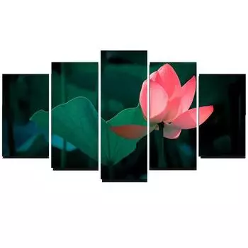 5 шт., настенная живопись на холсте, картины, рамки, HD принты, домашний декор, гостиная, розовый цветок лотоса, лист лотоса, плакат без рамки 20x35cm*2 20x45cm*2 20x55cm*1