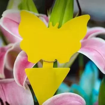 5 шт. полезных самоклеящихся солнцезащитных мух в форме домика для тли ловушки для дома E жёлтый