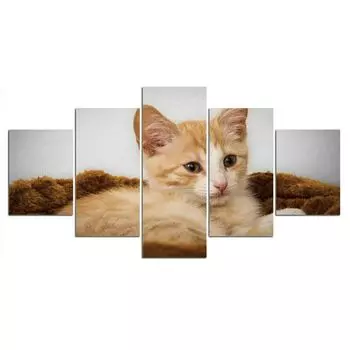 5 шт., рыжий кот, котенок, современные картины, холст, картины, настенное искусство, HD печать, домашний декор, декор комнаты без рамки, 5 шт., плакат 20x35 20x45 20x55cm