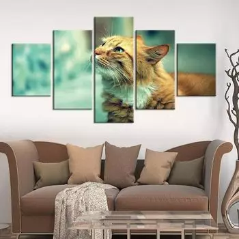 5 шт., рыжий кот Том, домашнее животное, декор в виде животных, холст, картина, настенное искусство, HD печать, картины, постер, домашний декор, декор комнаты, фотографии, 5 шт. 20x35 20x45 20x55cm