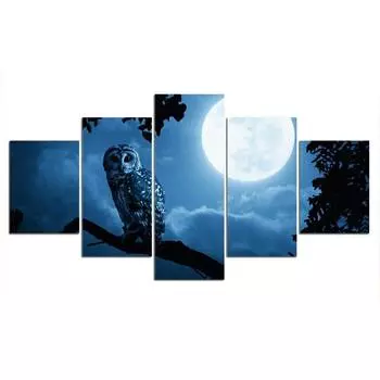 5 шт. Сова Ночь Луна Небо Птица Декор Картины Настенное Искусство Домашний Декор Современные Фотографии Холст Плакат Декор Комнаты Без Рамки 5 Панель 20x35 20x45 20x55cm