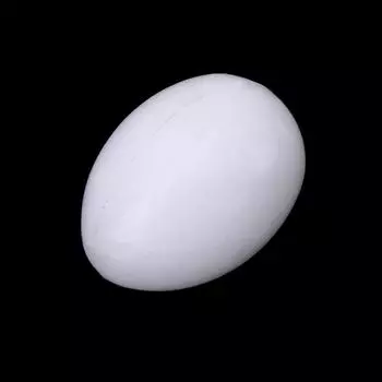 5 шт. твердых пластиковых яиц для попугаев, белое твердое инкубационное яйцо для лорикета Green Cheek Ringneck для голубя для кореллы Quaker