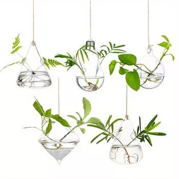 5 шт. ваза для гидропонных растений Air Plant, стеклянная современная станция для размножения, подвесное стеклянное кашпо, цветок, для помещений, для окон, для домашнего декора