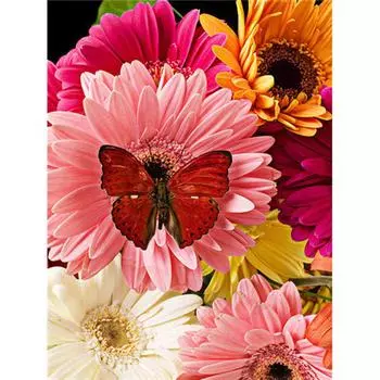 5D Алмазная картина Бабочка Цветы DIY Алмазная вышивка Крестом 20X30CM