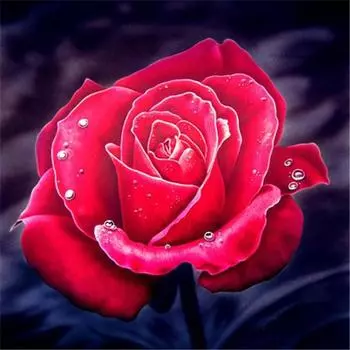 5D Алмазная картина Цветы Картинки Алмазная мозаика Вышивка крестиком Алмазная вышивка Роза 20X30CM